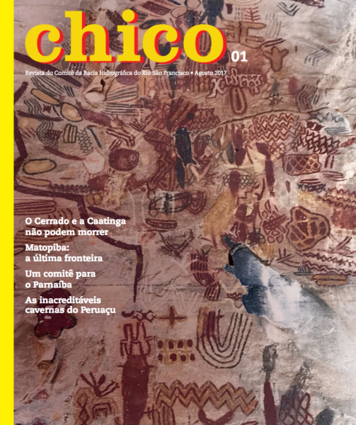 Capa Chico 1